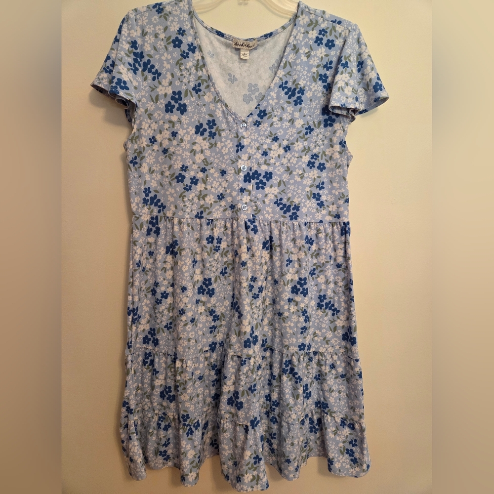 Derek Heart Blue Floral Dress XL